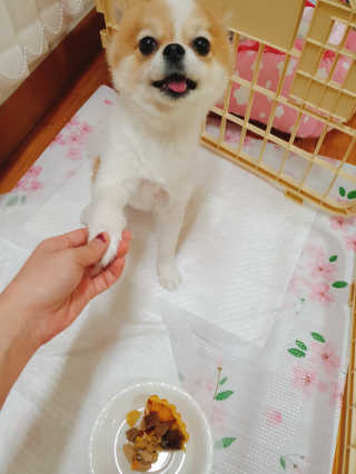 SongHoeun님이 올린 리뷰 사진 3
