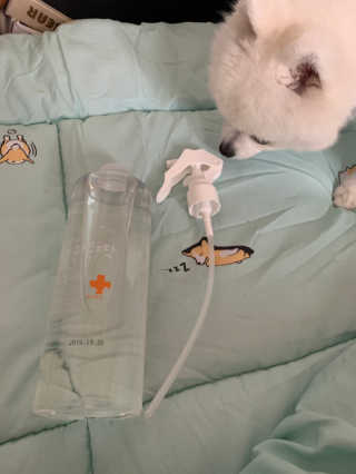 [펫토리아]살균뚝딱 강아지 고양이 살균소독제 탈취제 — 5점을 준 리뷰어가 2019년 10월 올린 사용 사진