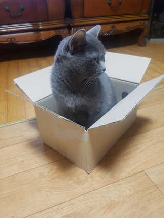 JellaYoon님이 올린 리뷰 사진 1