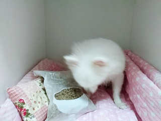 스릉이님이 올린 리뷰 사진 4