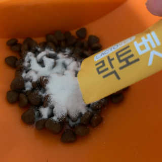 빔글뱀글님이 올린 리뷰 사진 4