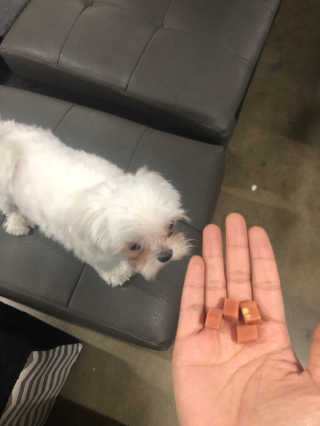 awedana님이 올린 리뷰 사진 2