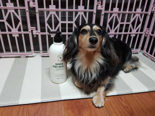 (주)에네스티 내추럴 촉촉  오트밀 바디워시 500ml — 5점을 준 리뷰어가 2019년 9월 올린 사용 사진
