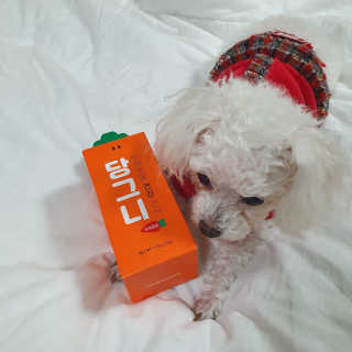 몽이언니님이 올린 리뷰 사진 2