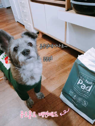 고구밍님이 올린 리뷰 사진 1