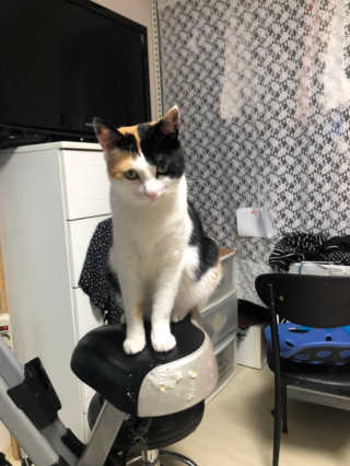 봄날님이 올린 리뷰 사진 3