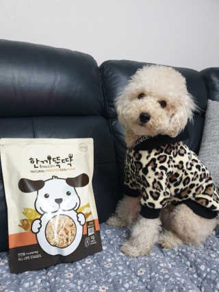 [펫토리아] 맛도 영양도 BEST 한끼뚝딱 강아지 사료 — 5점을 준 리뷰어가 2019년 4월 올린 사용 사진