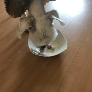 연쥬연쥬님이 올린 리뷰 사진 1