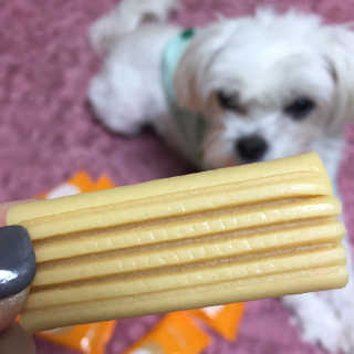 당근님이 올린 리뷰 사진 1