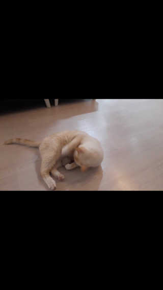 보라보라님이 올린 리뷰 사진 3