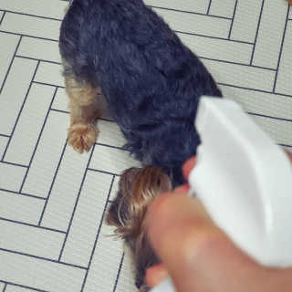 손바닥님이 올린 리뷰 사진 3