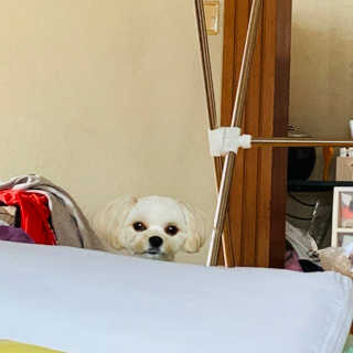 이주현님이 올린 리뷰 사진 2