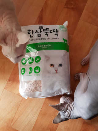 [펫토리아] BEST 고양이두부모래 6L 한삽뚝딱 — 4.67점을 준 리뷰어가 2019년 1월 올린 사용 사진