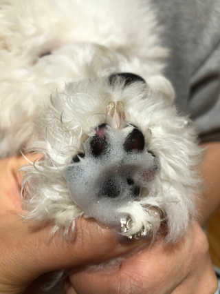 kmakmsss님이 올린 리뷰 사진 4
