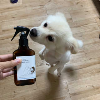 정혜원님이 올린 리뷰 사진 2