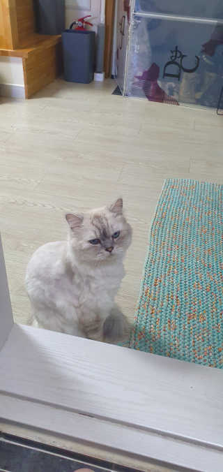 이아라님이 올린 리뷰 사진 3