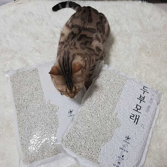 가성비 좋은 두부모래 7L 리뷰 사진