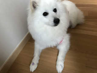 bin님이 올린 리뷰 사진 3