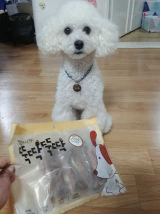 [펫토리아] 뚝딱뚝딱 400g 강아지 간식 베스트5종 — 5점을 준 리뷰어가 2019년 1월 올린 사용 사진