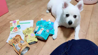 진진님이 올린 리뷰 사진 3