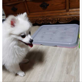 심쿵해에님이 올린 리뷰 사진 2