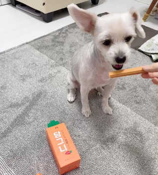다운당님이 올린 리뷰 사진 1