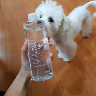 [펫토리아]살균뚝딱 강아지 고양이 살균소독제 탈취제 — 5점을 준 리뷰어가 2019년 10월 올린 사용 사진