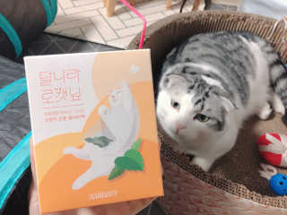 cobemom님이 올린 리뷰 사진 1