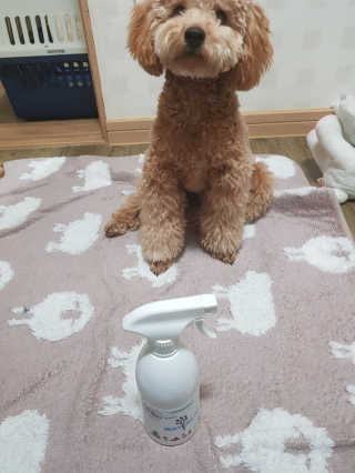 dutxod님이 올린 리뷰 사진 2