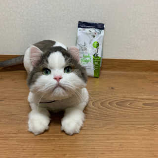 눌222님이 올린 리뷰 사진 4