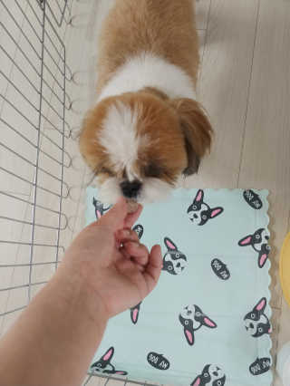 단우맘님이 올린 리뷰 사진 3