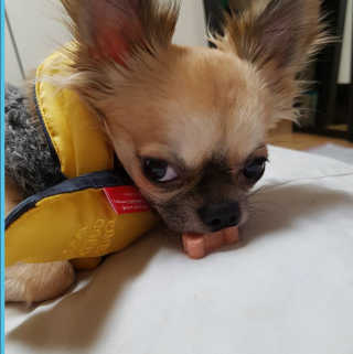 라임님이 올린 리뷰 사진 2