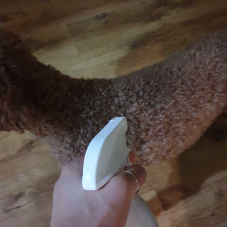 호야야님이 올린 리뷰 사진 3