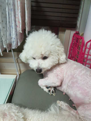 나님a님이 올린 리뷰 사진 3