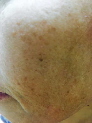 쩡알님이 올린 리뷰 사진 1