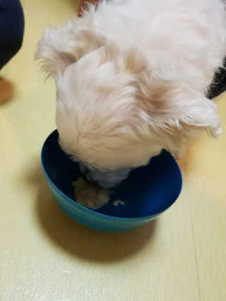 이승규님이 올린 리뷰 사진 2