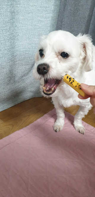 지혴님이 올린 리뷰 사진 4