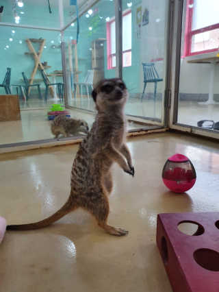 소영님이 올린 리뷰 사진 4