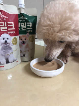 [빙그레] 에버그로 생유산균 1봉（10포입）+펫밀크2팩 — 4.5점을 준 리뷰어가 2019년 5월 올린 사용 사진