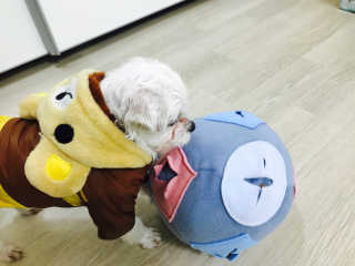 강윤정님이 올린 리뷰 사진 1