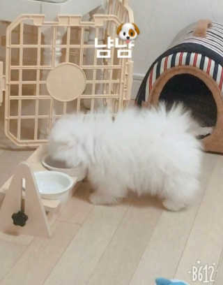 옌짱님이 올린 리뷰 사진 2