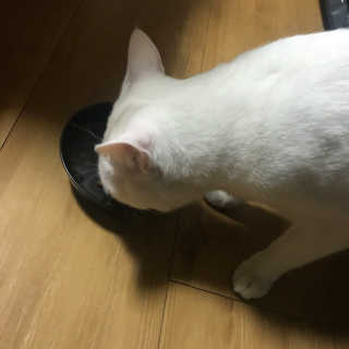 Young님이 올린 리뷰 사진 1