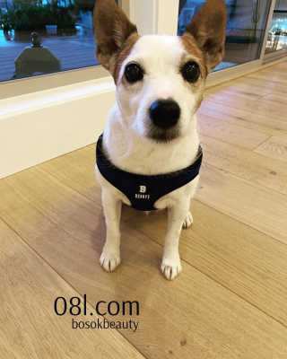 BozenaSokalski님이 올린 리뷰 사진 1