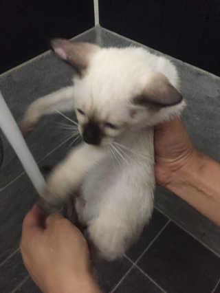 루이이모님이 올린 리뷰 사진 2