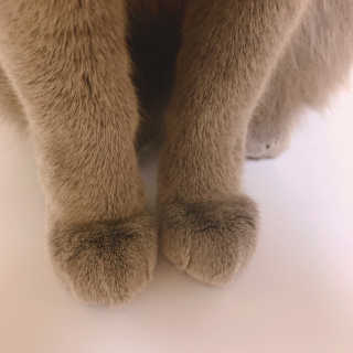 경던님이 올린 리뷰 사진 4