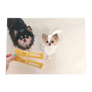 은쓸님이 올린 리뷰 사진 2