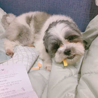 뚱맘님이 올린 리뷰 사진 2