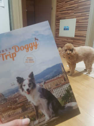 HyoSeungKim님이 올린 리뷰 사진 1