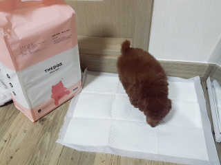 썬블리님이 올린 리뷰 사진 3