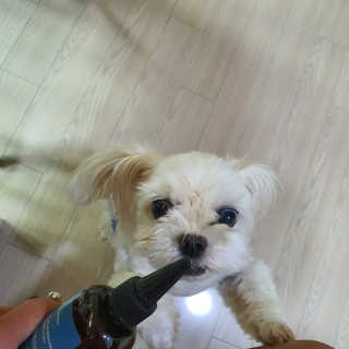 엣헴님이 올린 리뷰 사진 2
